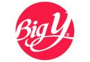 logo-big-y